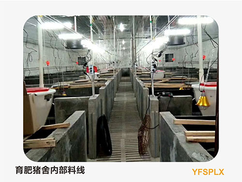 養(yǎng)豬料線清洗的必要性以及注意事項 養(yǎng)豬料線清洗的必要性以及注意事項